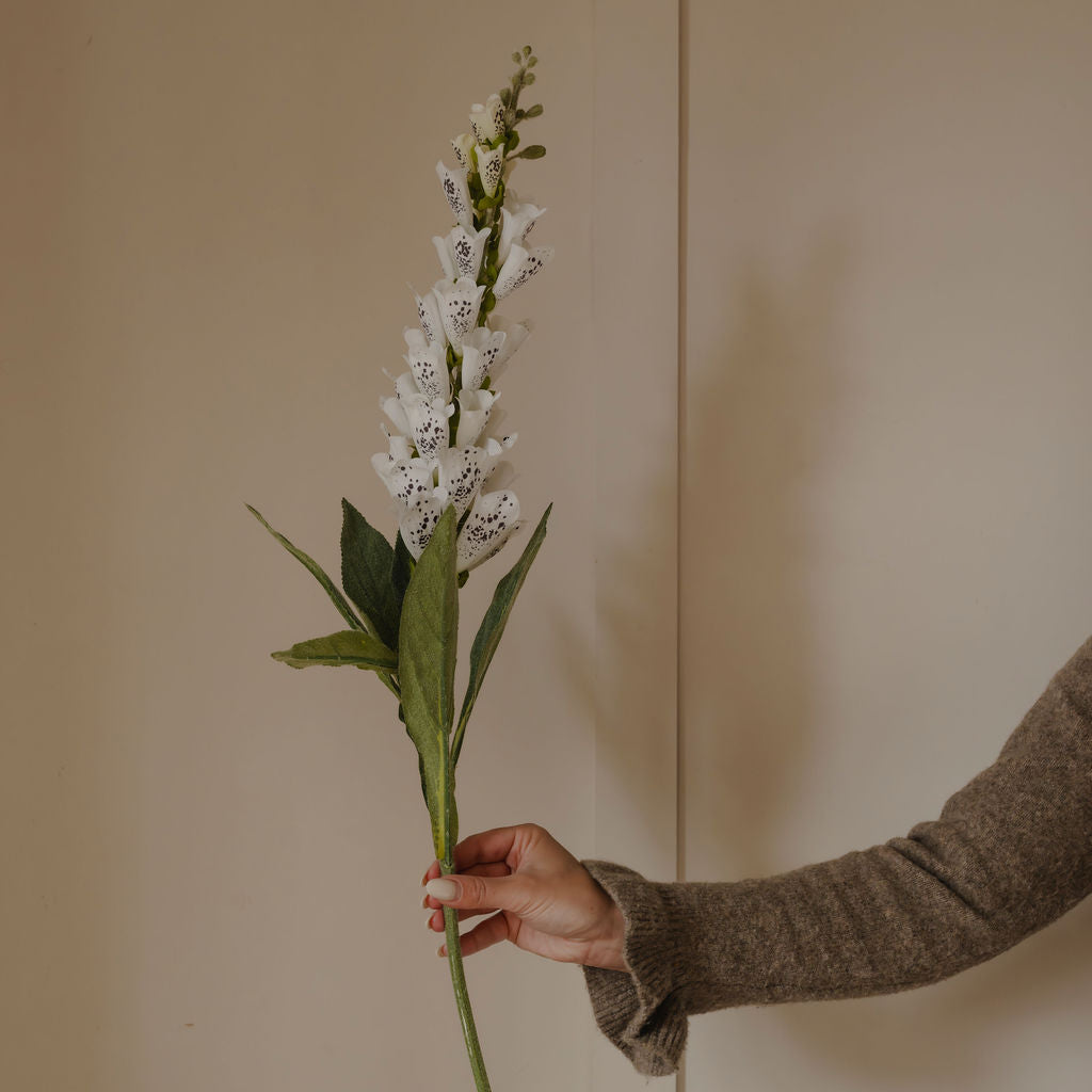 White Foxglove Spray