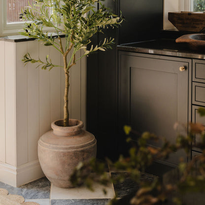 Potted plant in a kitchen setting with dark cabinets and a window in the background