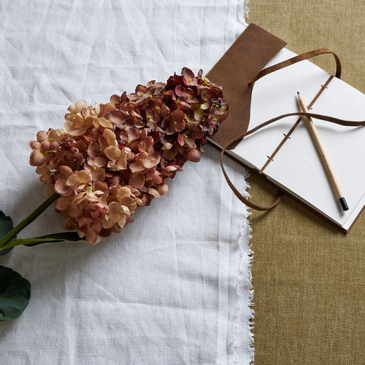 Burgundy Spear Head Hydrangea