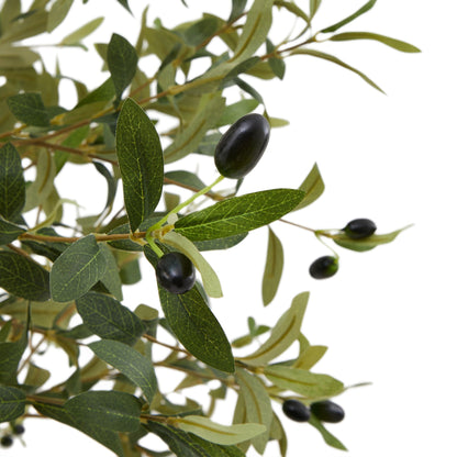 The Mediterranean Olive Tree Bundle (Grey) Worth $250 Bundle Price $200