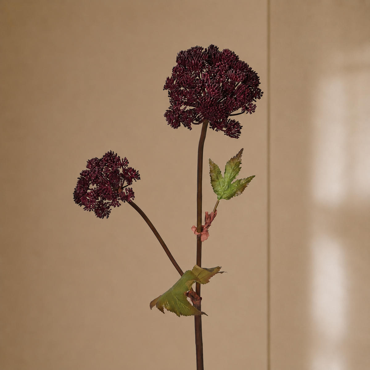Faux burgundy angelica seed head stem with leaves