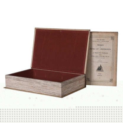 Set of 2 Antique Styling Book Boxes