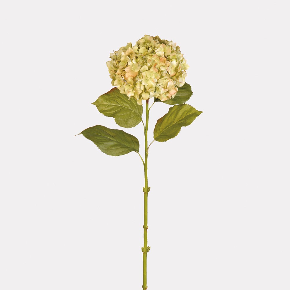 Real Touch Pistachio Hydrangea