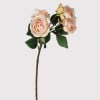 Regent Pale Pink Rose with Leaves
