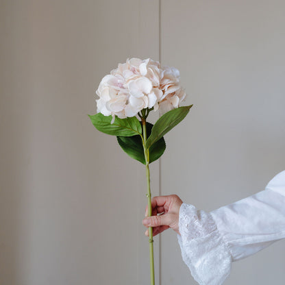 Blush Hydrangea and Eucalyptus Bouquet