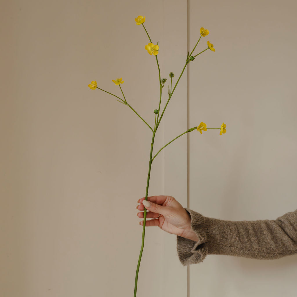Meadow Buttercup Spray with Leaves