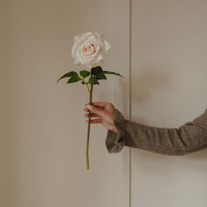 Hand holding a white rose against a plain background
