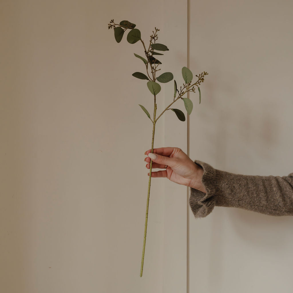Natural Eucalyptus Leaves with Seeds Spray