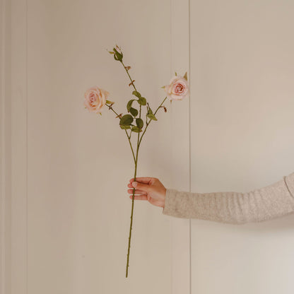 Blush Rose with Bud Stem