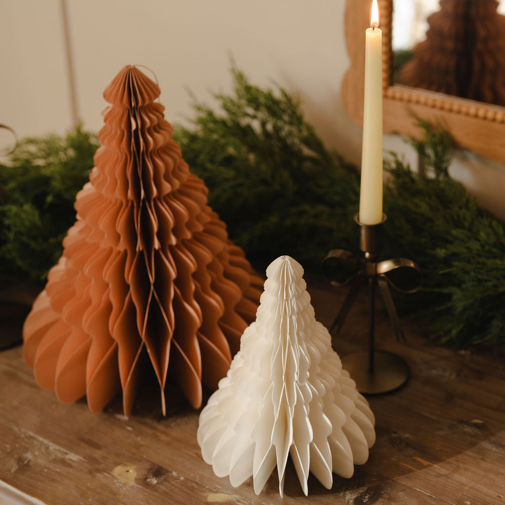 Set of two Paper Trees