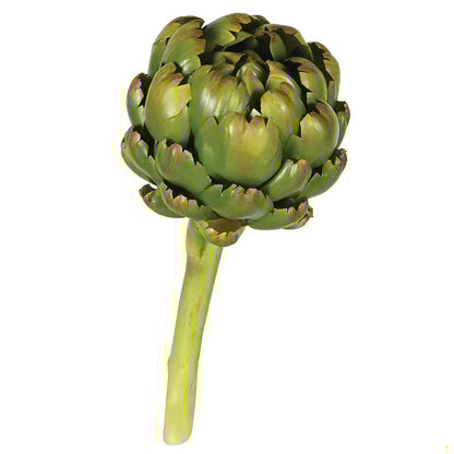 Artichoke on a white background