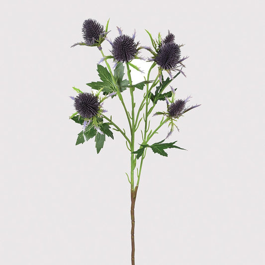Eryngium Thistle Spray