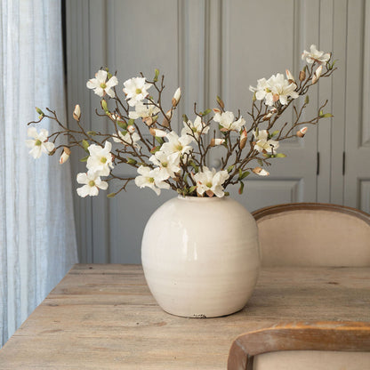 Open Magnolia Stems