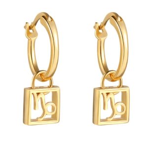 Capricorn huggie earrings