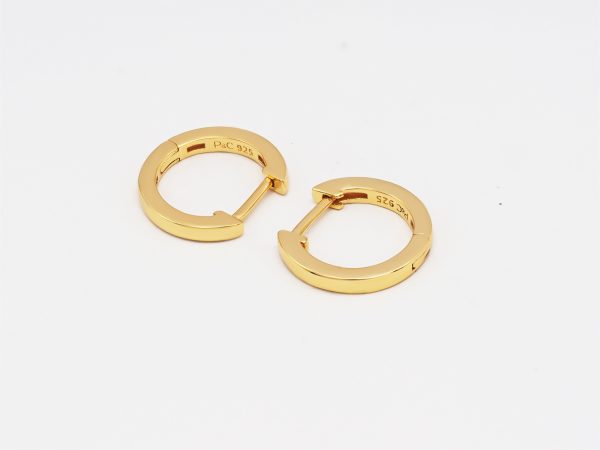 gold small hoop earrings