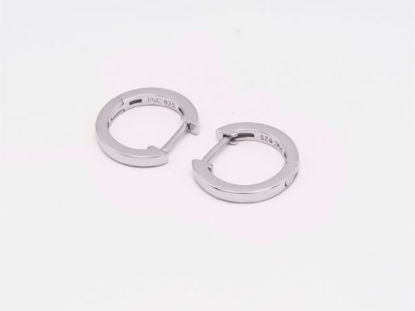 small silver hoop earrings