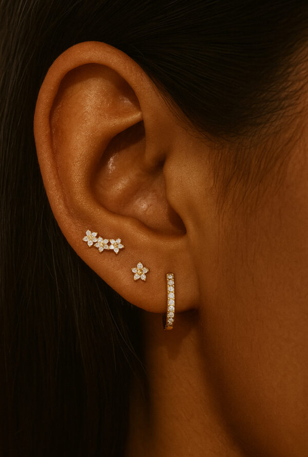 Delilah 6 piece earring set