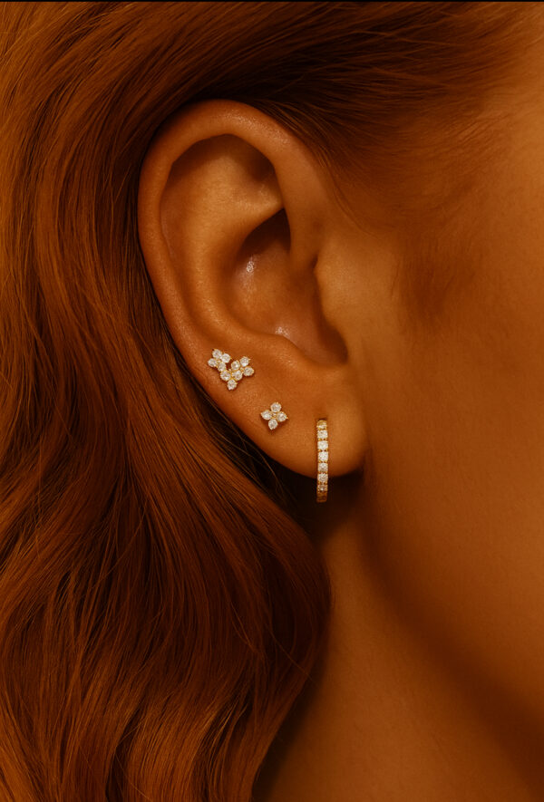 Rosie 6 piece earring set