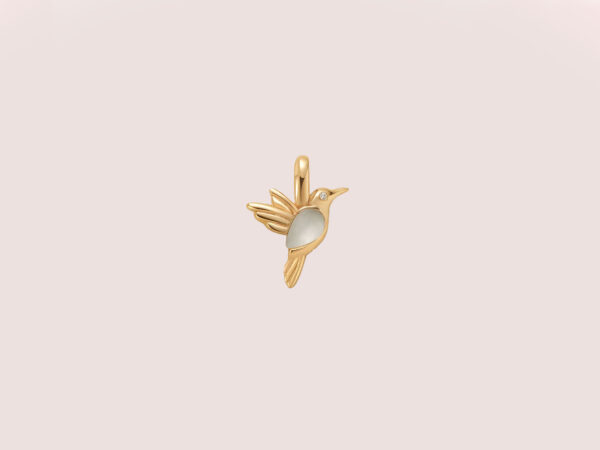 hummingbird charm